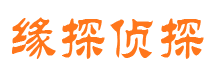 新野侦探